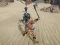 Oyunu The Scythian Warrior çevrimiçi