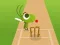 Oyunu Doodle Cricket çevrimiçi
