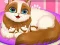 Oyunu Cute Kitty Pregnant çevrimiçi