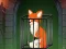 Oyunu Fox in the Forgotten Ruins çevrimiçi