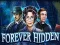 Oyunu Forever Hidden çevrimiçi