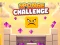 Oyunu Sponge Challenge çevrimiçi
