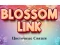Oyunu Blossom Link çevrimiçi