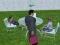 Oyunu Millionaire Simulator 2024 çevrimiçi