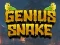 Oyunu Genius Snake çevrimiçi