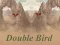 Oyunu Double Bird çevrimiçi