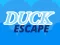 Oyunu Duck Escape çevrimiçi
