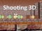 Oyunu Shooting 3D çevrimiçi