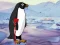 Oyunu Heal the Wounded Penguin çevrimiçi
