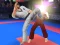 Oyunu Karate Fighter çevrimiçi