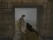 Oyunu Silent Asylum 2 çevrimiçi