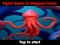 Oyunu Squid Game In Dalgona Panic çevrimiçi