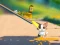 Oyunu Cat Challenge çevrimiçi