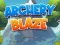 Oyunu Archery Blaze çevrimiçi