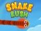 Oyunu Snake Rush çevrimiçi