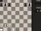 Oyunu Fun Chess Puzzles! çevrimiçi