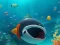 Oyunu Escape The Shark Cage çevrimiçi
