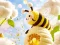 Oyunu Find The Differences: Little Bee's Adventure çevrimiçi