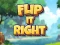 Oyunu Flip It Right çevrimiçi