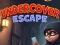 Oyunu Undercover Escape çevrimiçi