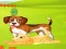 Oyunu Bunny Key Quest çevrimiçi