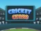 Oyunu Cricket Craze çevrimiçi
