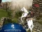 Oyunu Ertugrul Gazi Horse Sim çevrimiçi