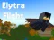 Oyunu Elytra Flight çevrimiçi