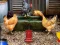 Oyunu Poultry Farm Easter Escape çevrimiçi