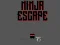 Oyunu Ninja escape çevrimiçi