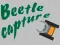 Oyunu Beetle Capture çevrimiçi