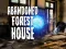 Oyunu Abandoned Forest House çevrimiçi