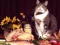 Oyunu Funny Cats Puzzle çevrimiçi