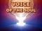 Oyunu Voice Of The Soul çevrimiçi