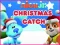 Oyunu Nick Jr. Christmas Catch çevrimiçi