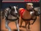 Oyunu Greyhound Racing çevrimiçi