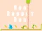 Oyunu Run Rabbit Run çevrimiçi