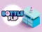 Oyunu Bottle Flip çevrimiçi