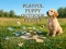 Oyunu Playful Puppy Outdoor Puzzle çevrimiçi