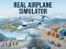 Oyunu Real Airplane Simulator çevrimiçi