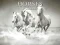 Oyunu Horses Puzzle çevrimiçi