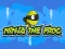Oyunu Ninja the Frog çevrimiçi