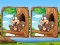 Oyunu Jungle 5 Diffs çevrimiçi