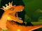 Oyunu The Dino King çevrimiçi