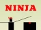 Oyunu Ninja go çevrimiçi