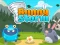 Oyunu Bunny Storm çevrimiçi