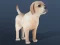 Oyunu IDLE Pet çevrimiçi