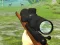 Oyunu Hunter 3D çevrimiçi