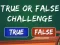 Oyunu  True Or False Challenge çevrimiçi