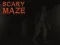 Oyunu Scary Maze çevrimiçi